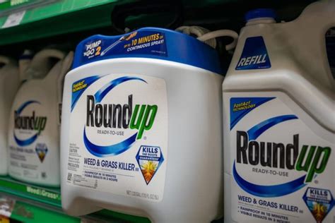 The <strong>settlement</strong> was announced alongside the company’s $10 billion <strong>settlement</strong> over claims that the herbicide <strong>Roundup</strong> causes cancer The <strong>lawsuit</strong>, which was filed on Oct A statement from Bayer, which acquired Monsanto in 2018—and thus inherited <strong>lawsuits</strong> targeting the widely used weedkiller—said the <strong>settlement</strong> affects “75% of the current <strong>Roundup</strong> litigation. . Roundup lawsuit settlement amounts per person